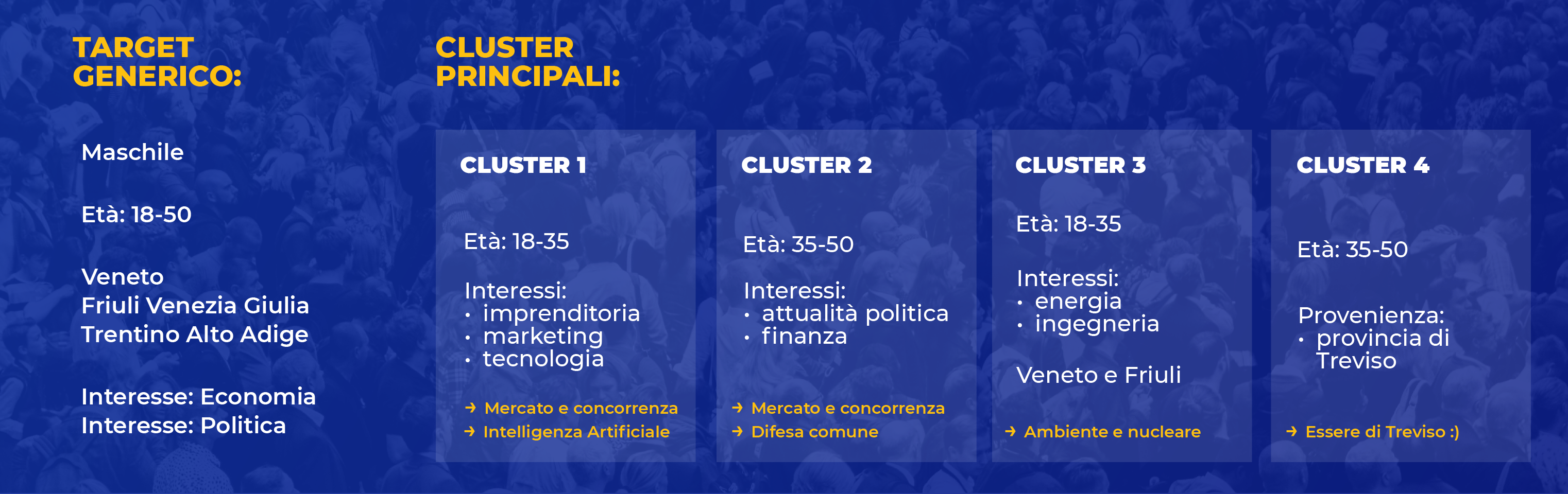 Target generico e quattro cluster principali dell'elettorato, con interessi e temi associati
